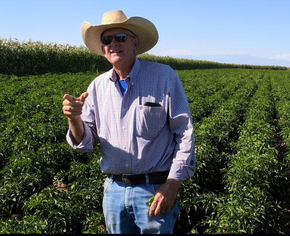 Ed Curry in Green Chile Pepper Field