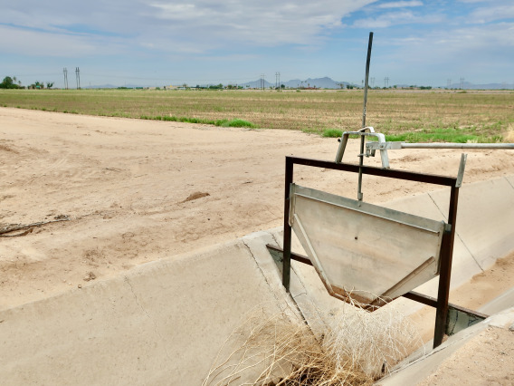 Pinal County irrigation ditch