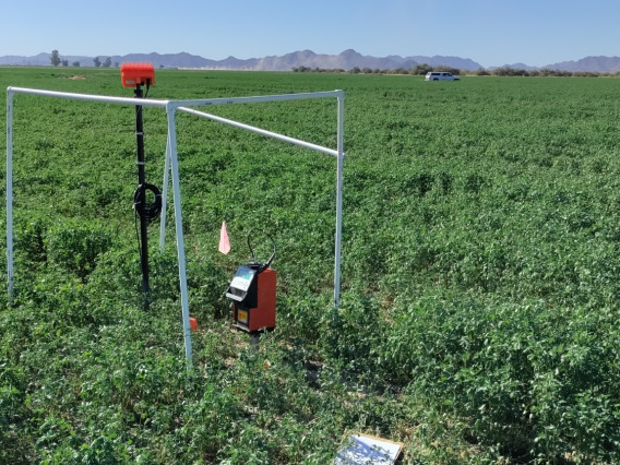 Photo of sensors in a field