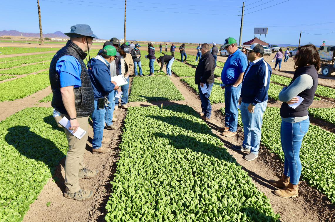 Spinach field day