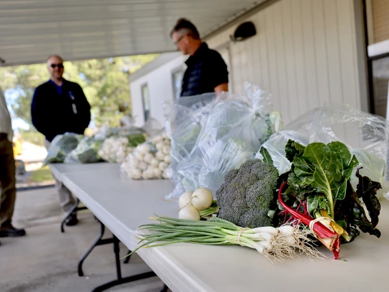 Photo of vegetables