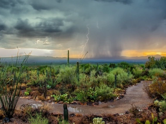 Photo of a monsoon storm