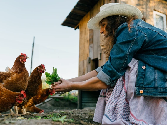Photo of a woman with chickens