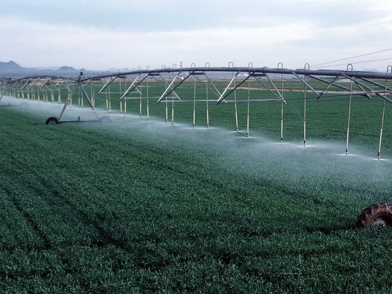 Photo of irrigation rig in a field