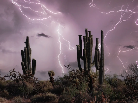 Photo of lightning