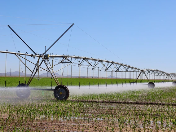 Photo of Zinke Farms irrigation system