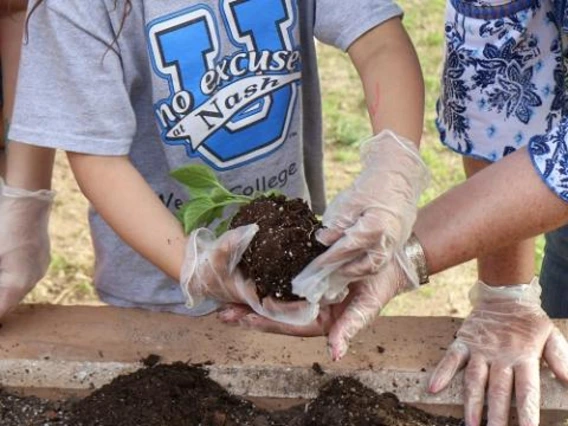 people gardening