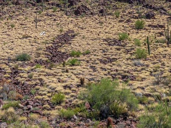 arizona mountainside