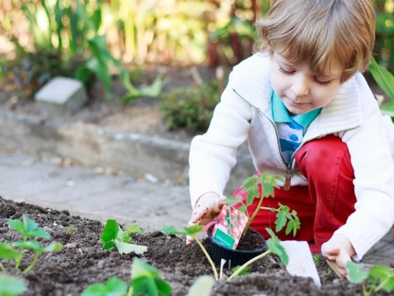 child planting a crop