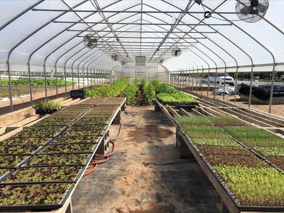 Urban Agriculture Greenhouse