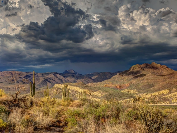 Arizona Landscape Monsoon Storm Approaching - Credit: Robert Murray