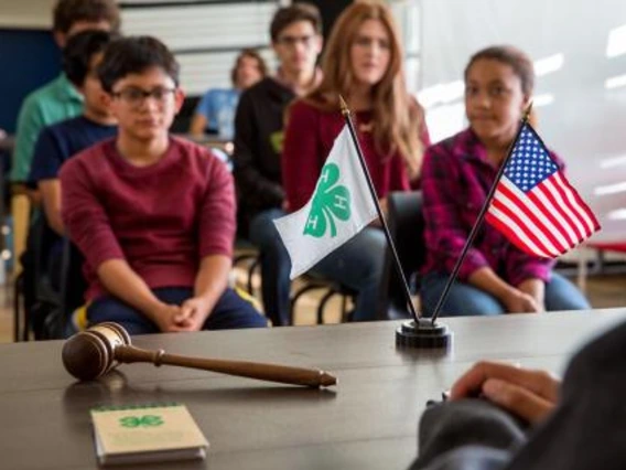 Students looking at a desk with a 4-H flag