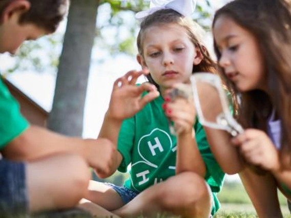 Kids inspecting an object with a magnifying glass