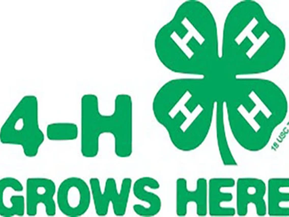 4-H Grows Here