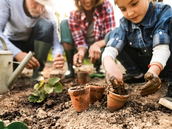 Photo of people gardening