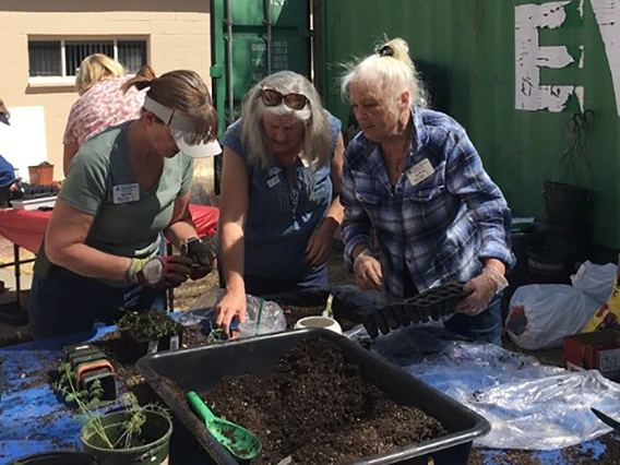 People with soil and pots