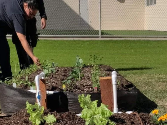 Photo of a detention center garden