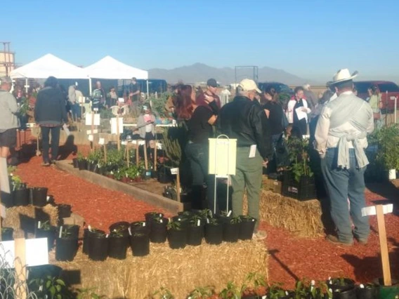 Crowd at outdoor plant sale