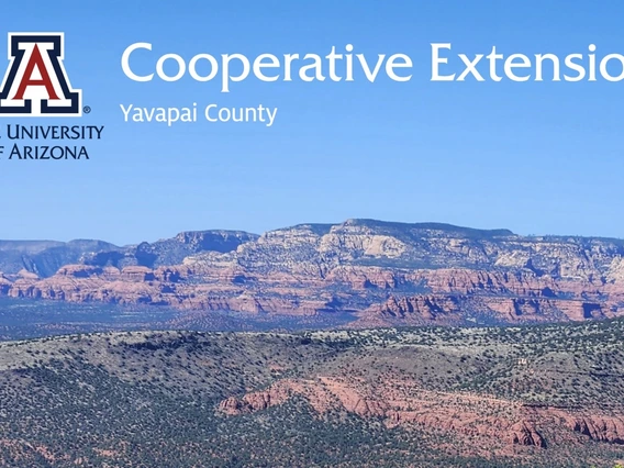 Screenshot of the Yavapai County annual report
