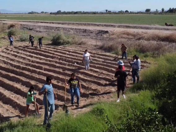 working in freshly tilled field