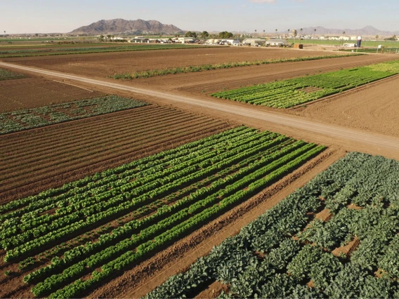 Arial view of yuma agricultural center