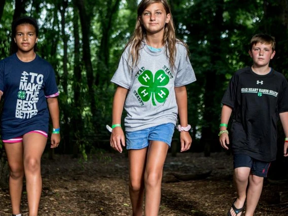 4-h youth walking in forest