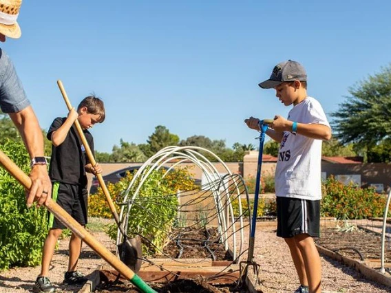 Photo of a school garden