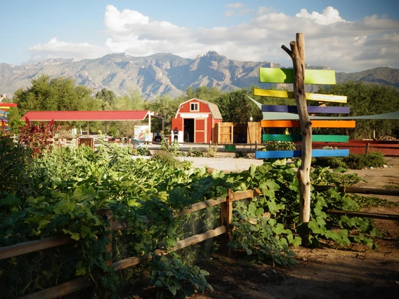 Tucson village farm garden