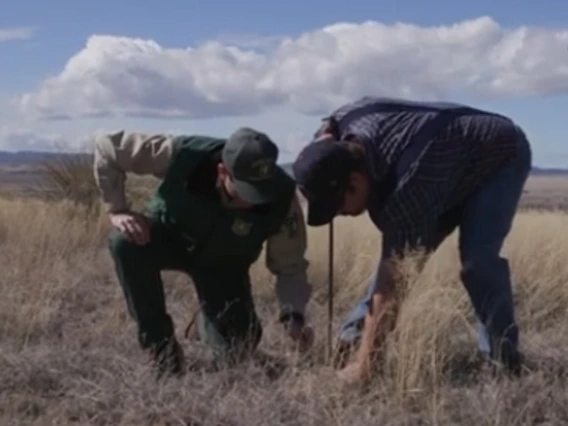 agent and forest service performing rangeland management