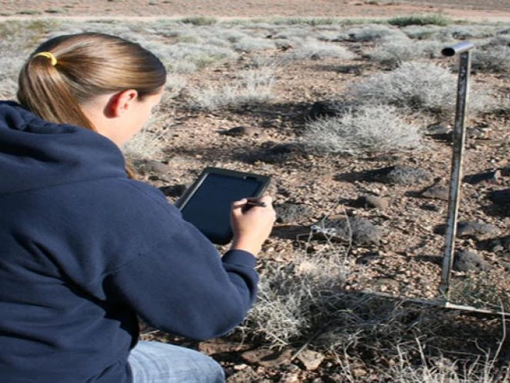 person monitoring plants on rangelands