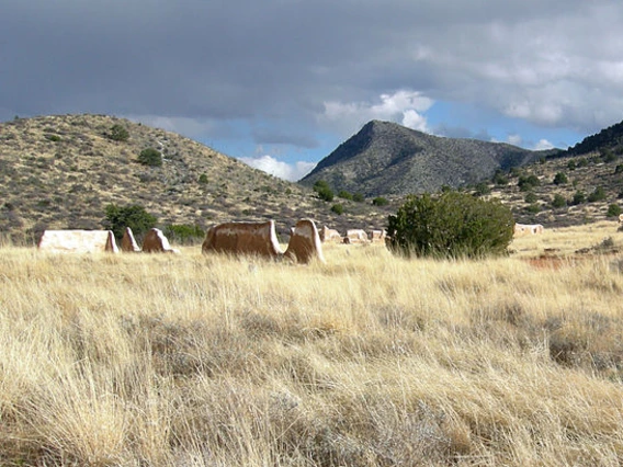 Fort Bowie Arizona