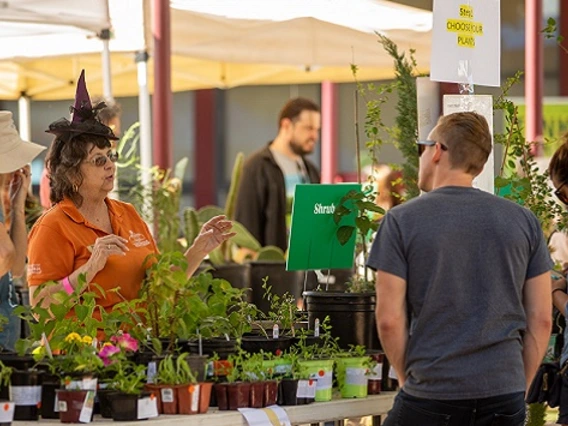 Maricopa Master Gardener Fall Plant Sale