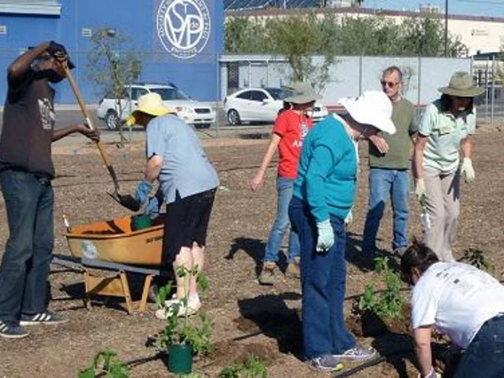 volunteers working in community garden