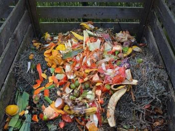 green waste in compost bin