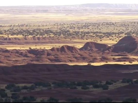 desert landscape