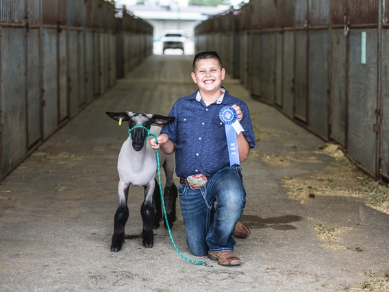 4-H youth with lamb and ribbon