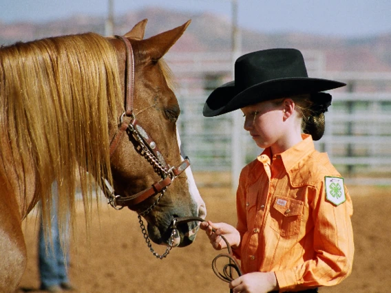 4-h member with horse