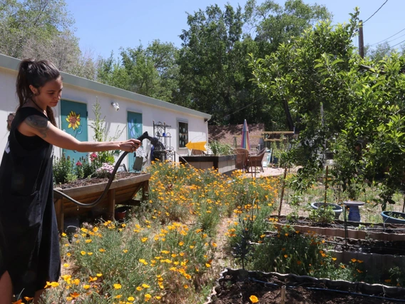 watering raised beds