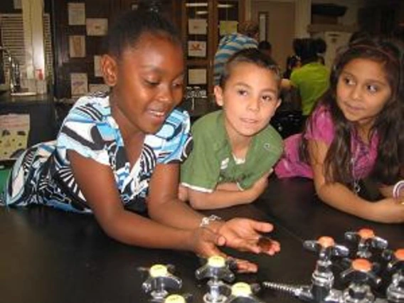 kids playing with insects in lab