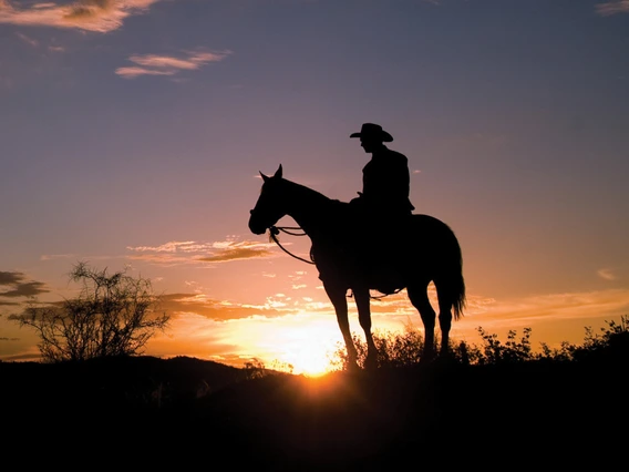 Person on horseback watches the sunset.