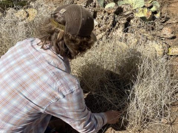 young person looking at rangeland grass