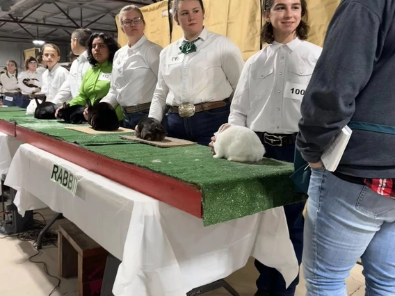 Colorado River Small Stock Show