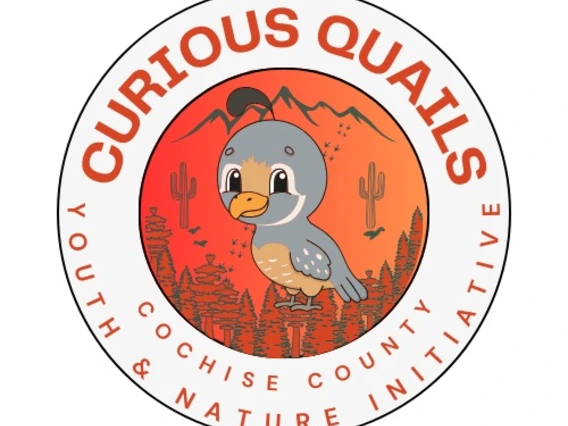 Cochise Curious Quails