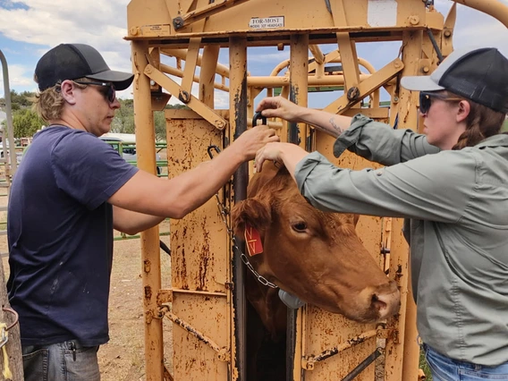 Photo of Jake Hennig