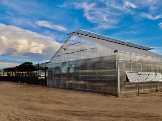 Photo of a greenhouse