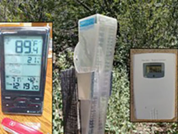 Outdoor thermometers and rain gauge