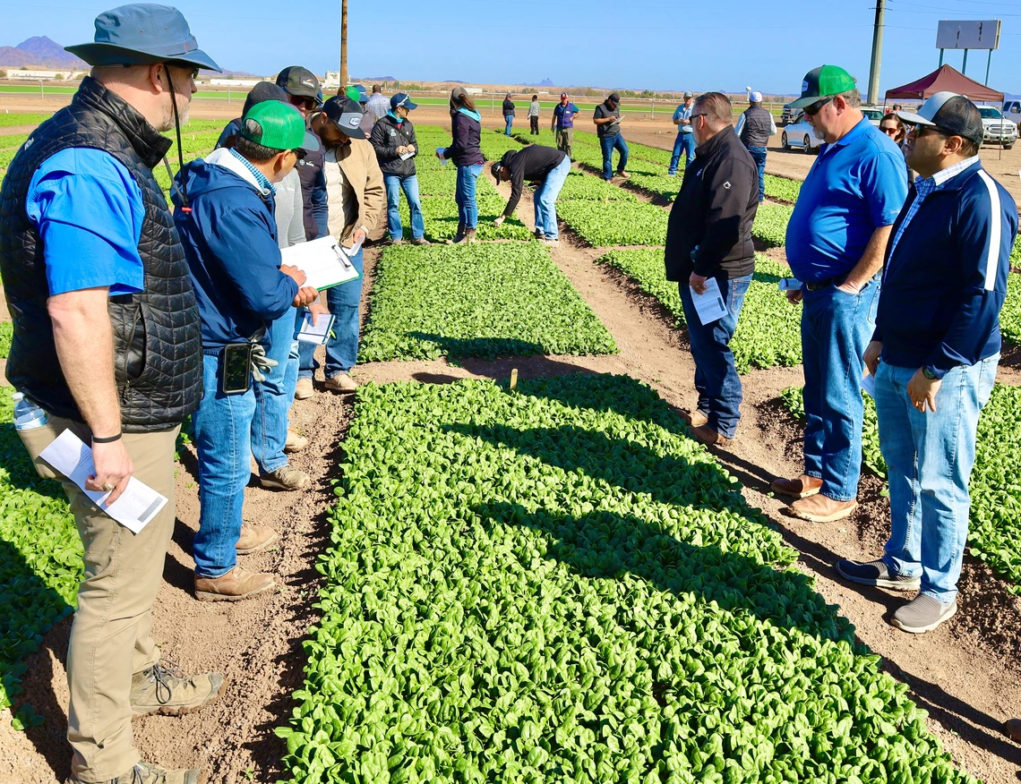 Phopto of people in a field at AES Yuma