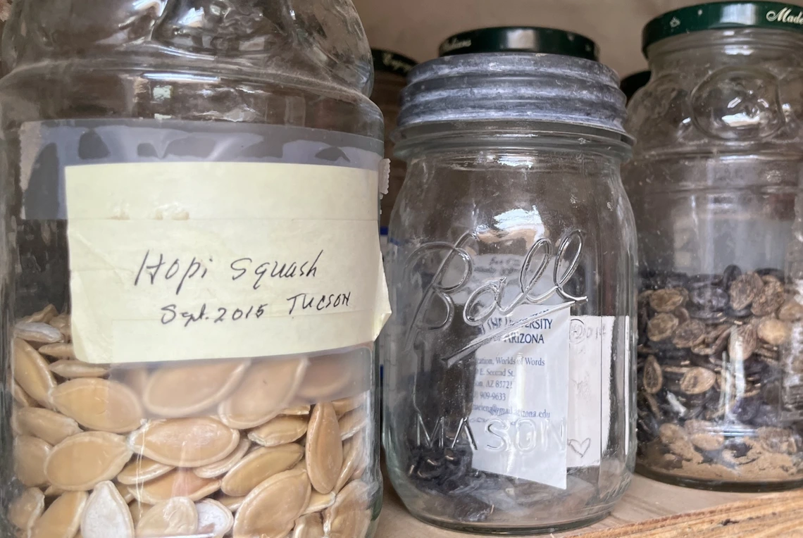 Photo of Hopi seeds in jars