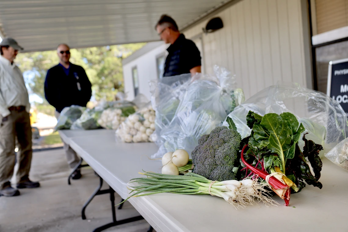 Photo of vegetables