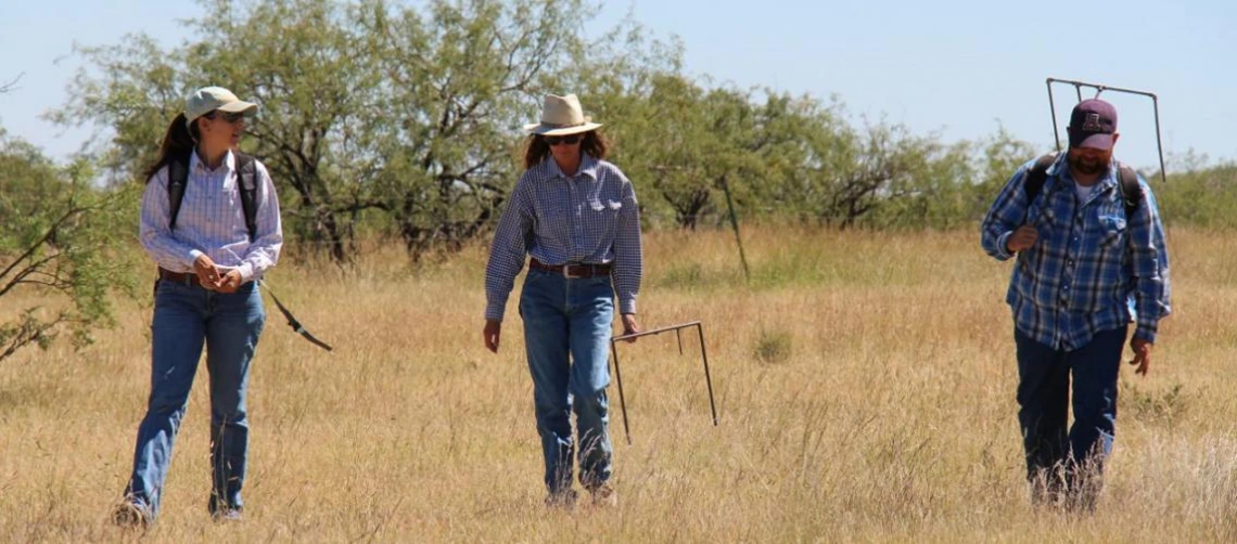 Photo of scientist walking in grassland